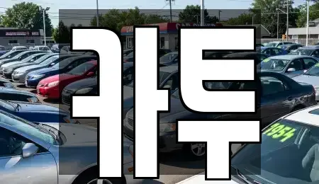 경기도 고양시 일산동구 정발산동 장기렌트카 전문 카투