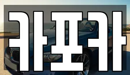 경기도 고양시 일산동구 정발산동 장기렌트카 전문 카포카