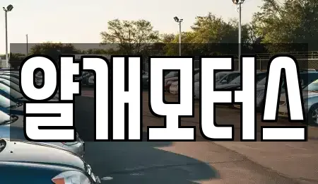 경기도 고양시 일산동구 정발산동 중고차 전문 얄개모터스