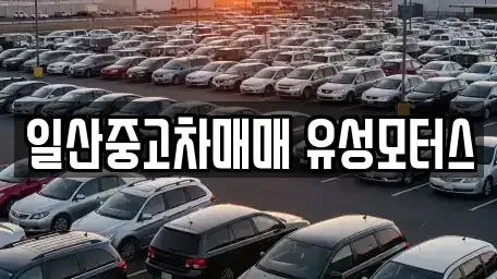 경기도 고양시 일산동구 정발산동 중고차 전문 일산중고차매매 유성모터스
