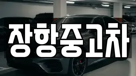 경기도 고양시 일산동구 정발산동 중고차 전문 장항중고차