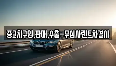 경기도 고양시 일산동구 정발산동 중고차 전문 중고차구입,판매,수출-무심사렌트차결사