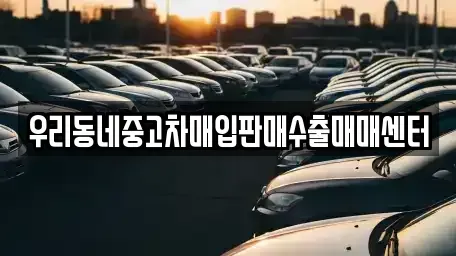 경기도 고양시 일산동구 정발산동 중고차매입 전문 우리동네중고차매입판매수출매매센터