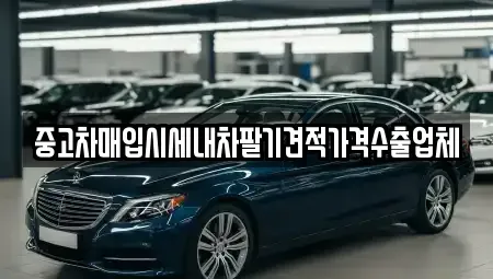 경기도 고양시 일산동구 정발산동 중고차매입 전문 중고차매입시세내차팔기견적가격수출업체