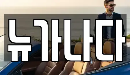 경기도 고양시 일산서구 일산동 렌트카 전문 뉴가나다