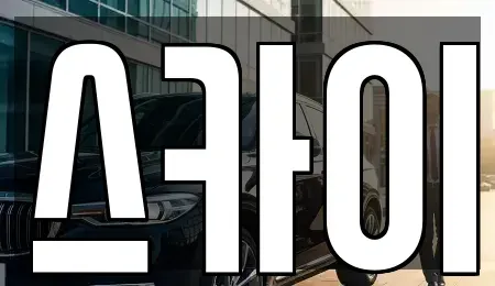 경기도 고양시 일산서구 일산동 렌트카 전문 스카이