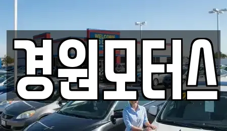 경기도 고양시 일산서구 일산동 중고차 전문 경원모터스