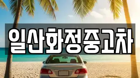 경기도 고양시 일산서구 일산동 중고차 전문 일산화정중고차