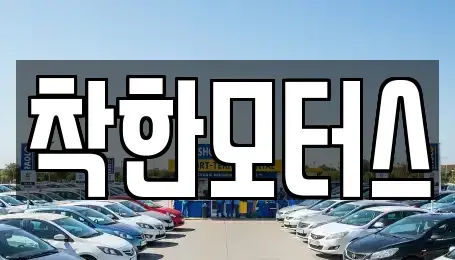 경기도 고양시 일산서구 일산동 중고차 전문 착한모터스