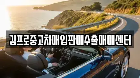경기도 고양시 일산서구 일산동 중고차매입 전문 김프로중고차매입판매수출매매센터