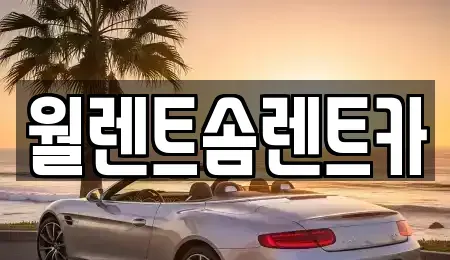 경기도 구리시 사노동 렌트카 전문 월렌트솜렌트카