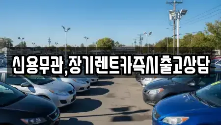 경기도 구리시 사노동 장기렌트카 전문 신용무관,장기렌트카즉시출고상담