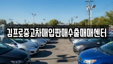 경기도 구리시 사노동 중고차 전문 김프로중고차매입판매수출매매센터