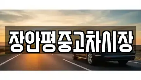 경기도 군포시 산본동 중고차 전문 장안평중고차시장