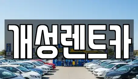 경기도 부천시 소사구 소사본동 렌트카 전문 개성렌트카