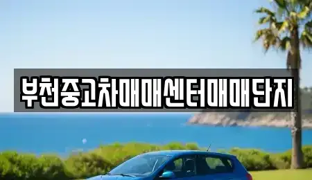 경기도 부천시 소사구 소사본동 중고차매매 전문 부천중고차매매센터매매단지