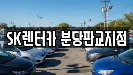 경기도 성남시 수정구 금토동 장기렌트카 전문 SK렌터카 분당판교지점