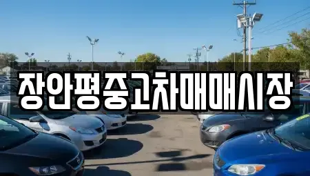 경기도 성남시 수정구 금토동 중고차매매 전문 장안평중고차매매시장