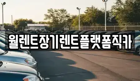 경기도 안산시 단원구 대부동동 렌트카 전문 월렌트장기렌트플랫폼직카