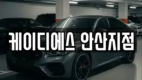경기도 안산시 상록구 월피동 렌트카 전문 케이디에스 안산지점