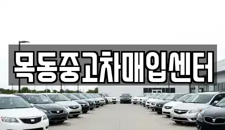 경기도 안산시 상록구 월피동 중고차매입 전문 목동중고차매입센터
