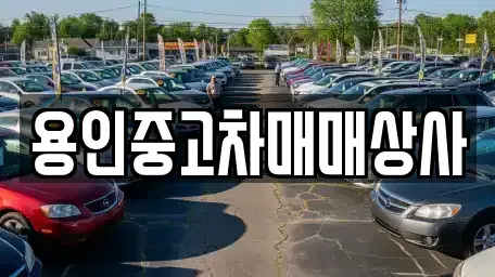 경기도 용인시 처인구 운학동 중고차매매 전문 용인중고차매매상사