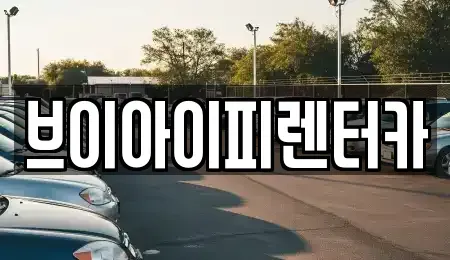 경기도 화성시 석우동 렌트카 전문 브이아이피렌터카