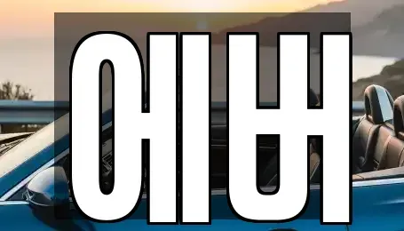 경기도 화성시 석우동 렌트카 전문 에버