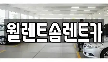 경기도 화성시 석우동 렌트카 전문 월렌트솜렌트카