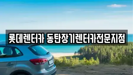 경기도 화성시 석우동 장기렌트카 전문 롯데렌터카 동탄장기렌터카전문지점