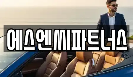 경기도 화성시 석우동 장기렌트카 전문 에스엔씨파트너스