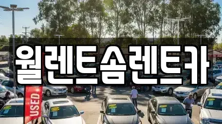 경기도 화성시 정남면 렌트카 전문 월렌트솜렌트카