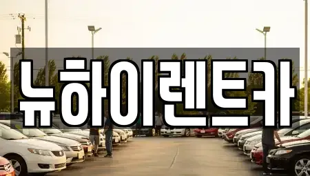 경남 창원시 성산구 사파정동 렌트카 전문 뉴하이렌트카