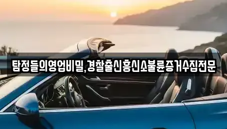 경남 창원시 의창구 내리동 중고차 전문 탐정들의영업비밀,경찰출신흥신소불륜증거수집전문