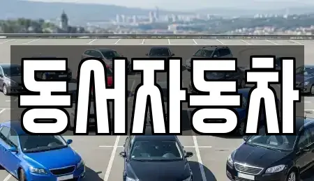 경남 창원시 의창구 내리동 중고차매매 전문 동서자동차