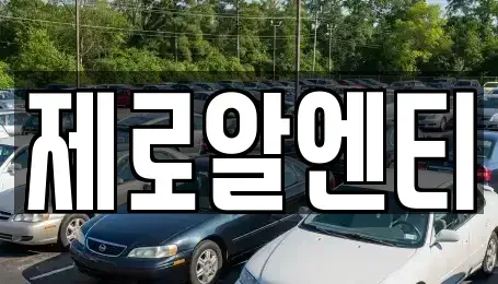 경남 창원시 진해구 안골동 렌트카 전문 제로알엔티