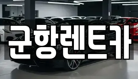 경남 창원시 진해구 통신동 렌트카 전문 군항렌트카