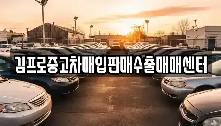 경남 창원시 진해구 통신동 중고차 전문 김프로중고차매입판매수출매매센터