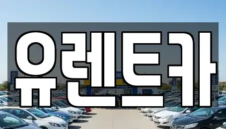 경북 경산시 백천동 렌트카 전문 유렌트카