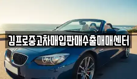 경북 경산시 백천동 중고차 전문 김프로중고차매입판매수출매매센터