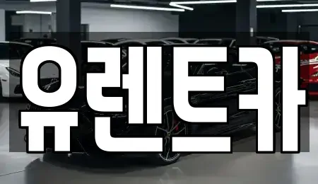 경북 경산시 삼풍동 렌트카 전문 유렌트카