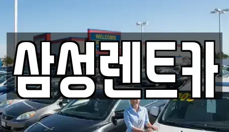 경북 경주시 충효동 렌트카 전문 삼성렌트카