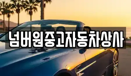 경북 경주시 충효동 중고차매매,단기렌트카,중고차매입,장기렌트카,중고차,렌트카