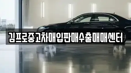 경북 경주시 충효동 중고차매입 전문 김프로중고차매입판매수출매매센터