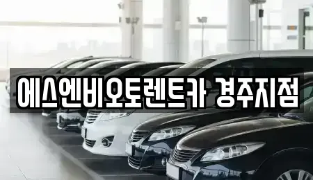 경북 경주시 황남동 렌트카 전문 에스엔비오토렌트카 경주지점