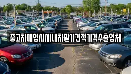 경북 경주시 황남동 중고차매입 전문 중고차매입시세내차팔기견적가격수출업체