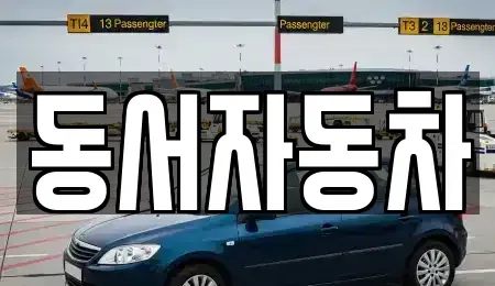 경북 상주시 남성동 중고차 전문 동서자동차