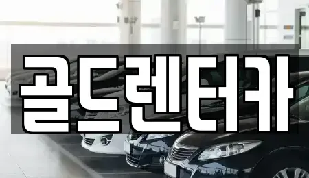 경북 안동시 천리동 렌트카 전문 골드렌터카