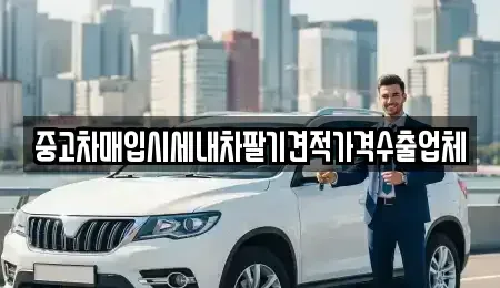 경북 안동시 천리동 중고차매매 전문 중고차매입시세내차팔기견적가격수출업체