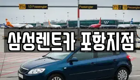 경북 포항시 남구 청림동 렌트카 전문 삼성렌트카 포항지점